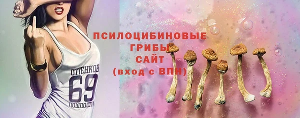 мяу мяу мука Гусь-Хрустальный