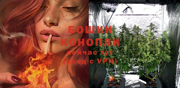 гашиш Ельня