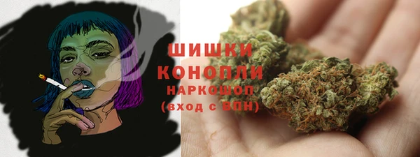 шишки Гусиноозёрск