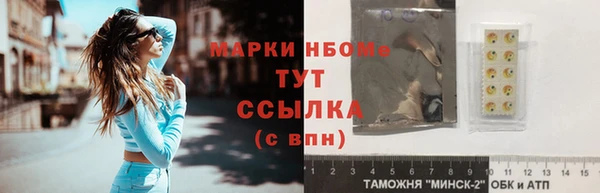 шишки Гусиноозёрск