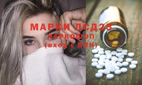 шишки Гусиноозёрск