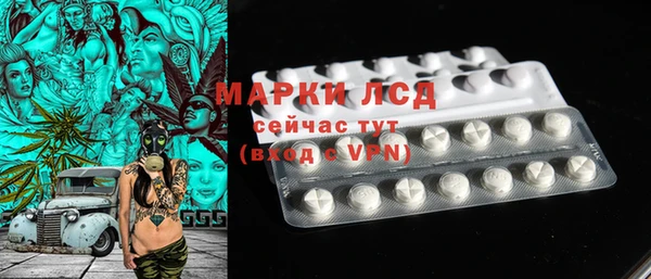 шишки Гусиноозёрск
