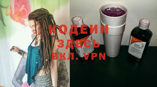 шишки Гусиноозёрск