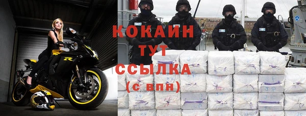 шишки Гусиноозёрск