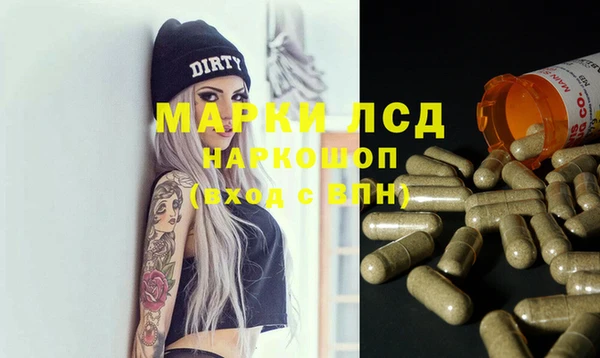 шишки Гусиноозёрск