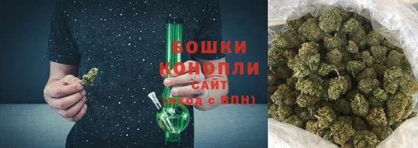 молекула духа Горняк