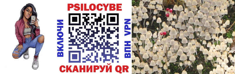 цена наркотик  Печора  Галлюциногенные грибы прущие грибы 